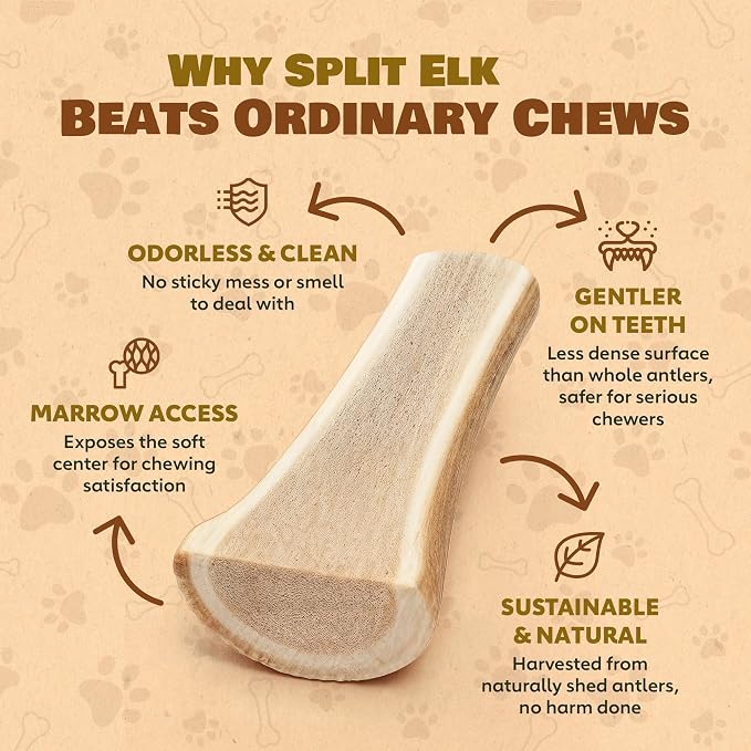 Extra Small 4 Pack (Splits) All Natural Premium Grade A. Elk Antler Chew. Naturally Shed, Hand-Picked, and Made in The USA. NO Odor, NO Mess. GUARENTEED SATISIFACTION. for Dogs 10-20 lbs