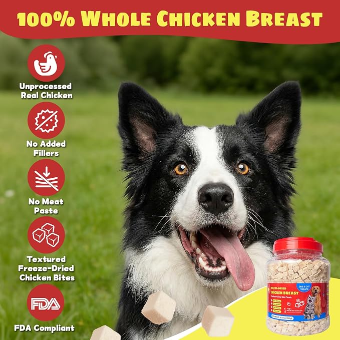 Freeze-Dried Chicken Breast Treats for Dogs & Cats | All Natural, High Protein, Premium Single-Ingredient Nutrition | Ideal Training Treats & Food Topper | 19.40 oz
