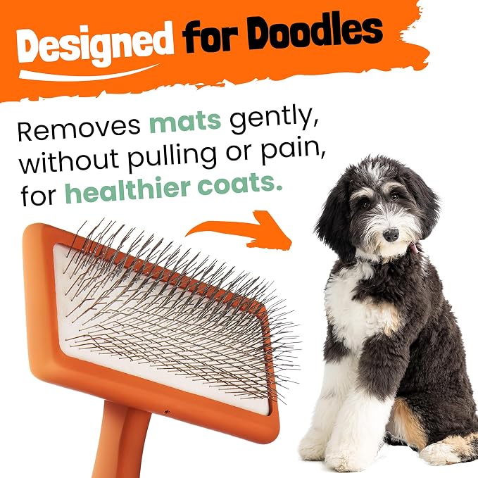 Slicker Brush for Dogs - Goldendoodle Brush with Poodle Comb and Cases Included - Goldendoodle Must Haves Grooming Tools - Designed for Doodles, Labradoodles, Bernedoodles - Medium - Orange