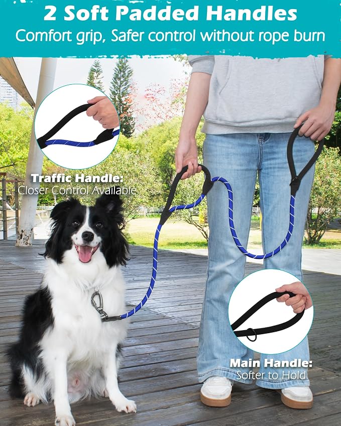 PetBonus Double Handle Rope Dog Leash and 2-Pack Large Silicone Collapsible Dog Bowls
