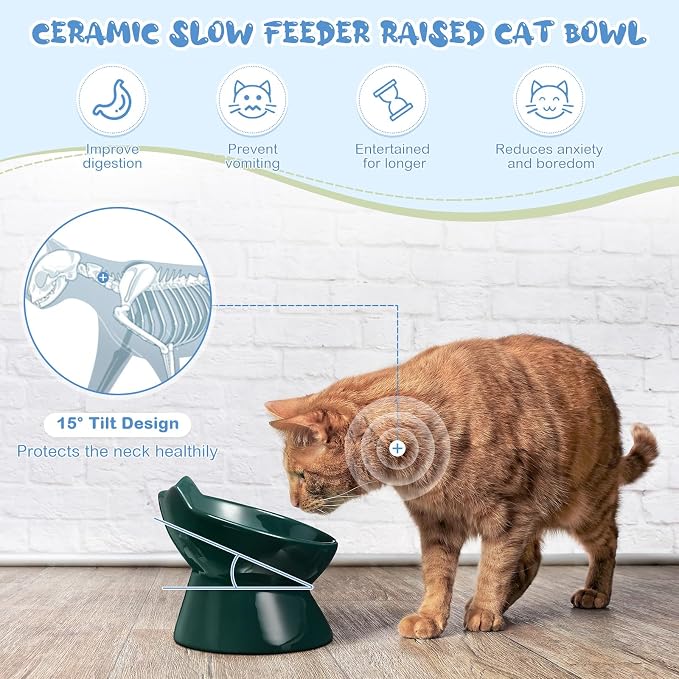 Funnymoom 2 Pcs Ceramic Raised Slow Feeder Cat Bowl, 5.91inch Elevated Cat Slow Feeder Bowl Tilted Anti Vomiting for Dry Wet Food and Water Easy to Clean High Edge(Dark Green, Blue)