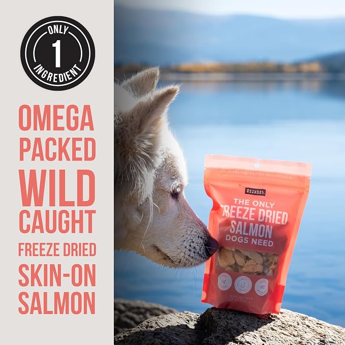 Natural Rapport Freeze Dried Salmon Dog Treats - Wild Caught, Single Ingredient, Omega-3 Rich for Skin & Coat Health (3 oz) (200+ Treats)