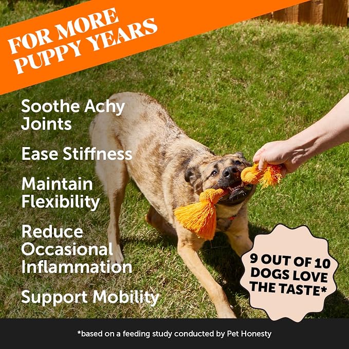 11-in-1 Advanced Hip + Joint Supplement for Dogs - Mobility Support with Glucosamine Chondroitin, Turmeric, & Green Lipped Mussel, MSM - Soothes Joint Stiffness & May Reduce Discomfort (Duck, 90 Ct)