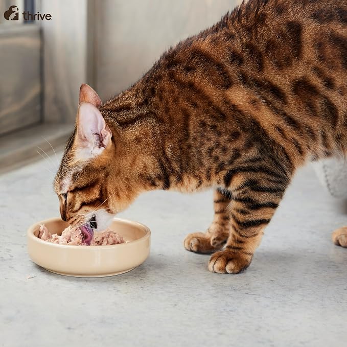 thrive Complete 100% Natural Multiple Flavors Food for Cats (6 Packs, Chicken and Turkey)