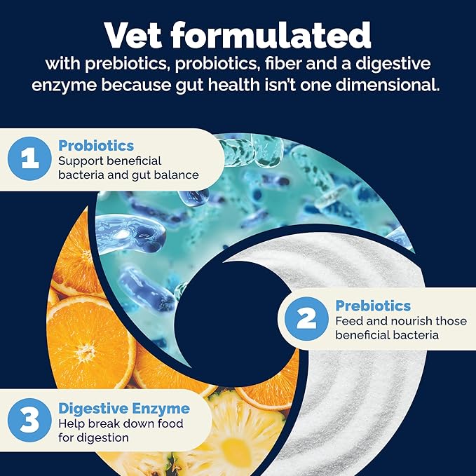 Vetnique Glandex Dog Probiotic Powder, Daily Probiotics for Dogs 5 Strains, Prebiotics & Digestive Enzymes for Gut & Immune Health, Vet Formulated for Occasional Diarrhea (8.5oz Powder, Pork Powder)