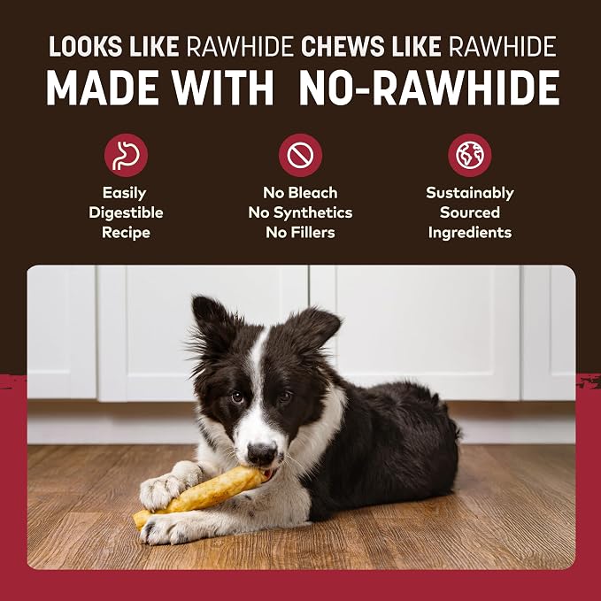 Earth Animal No Hide Chews - Long Lasting Rawhide Free Medium Dog Chews Rolls, Beef - 3 Count Value Pack