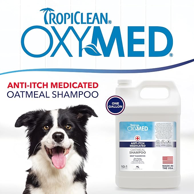 TropiClean OxyMed Dog Shampoo for Allergies and Itching, Medicated Oatmeal Shampoo for Dry Itchy Skin, Seborrhea, & Hot Spots, Cat Safe, 1 Gallon
