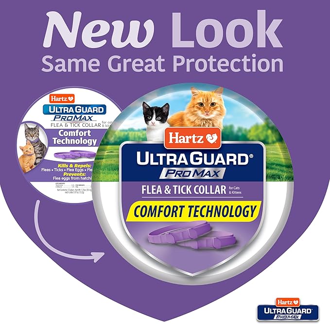 Hartz UltraGuard ProMax Flea & Tick Collar for Cats & Kittens I 14 Months Protection I Soft & Comfortable | Kills Fleas, Ticks, and Larvae I 2 Pack