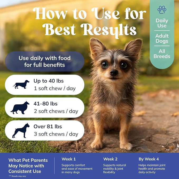 Advanced Hip & Joint Chews for Dogs - Glucosamine, Chondroitin, MSM & Collagen - Joint Support & Daily Mobility for Senior, Adult, Large & Small Dogs - 90 Soft Chews, Chicken Flavor.