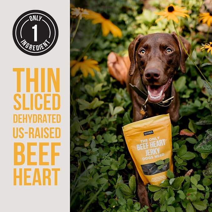 Natural Rapport Beef Heart Jerky Dog Treats - Single Ingredient, High Protein Dehydrated Treats for Training & Rewards (4 oz) (15+ Treats)