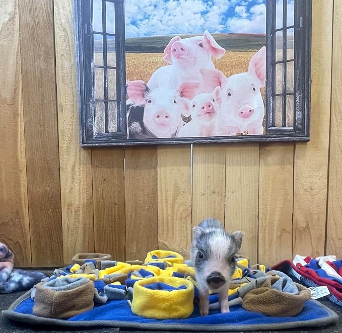 Piggy Poo and Crew Dichromatic Snuffle Foraging Mat for Dogs Perception of Color Enrichment Toy for Dogs Puppies Pigs Rabbits Cats Small Animals