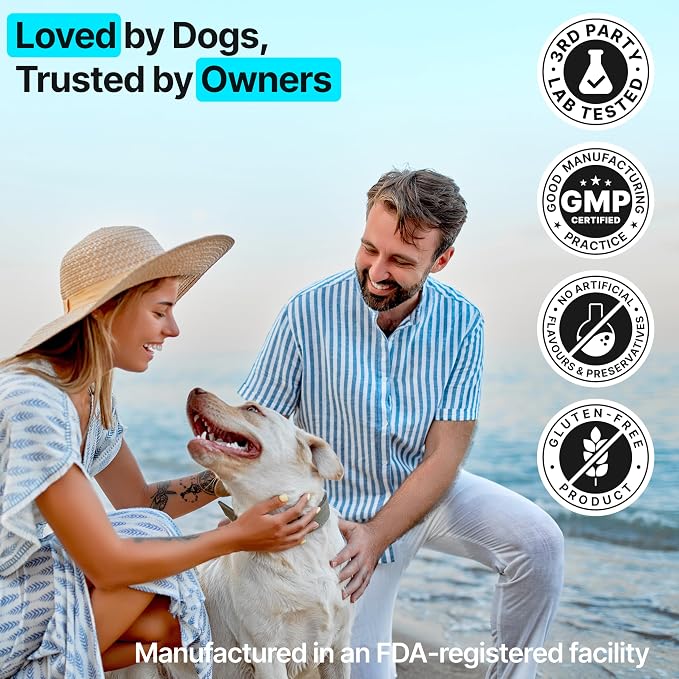 Dog Multivitamin Chewable with Glucosamine, Chondroitin & Probiotics – Dog Vitamins And Supplements – Skin, Hip & Joint, Immune - Puppy, Senior Dogs Supplements, 2 pack 340 Count, Made in USA