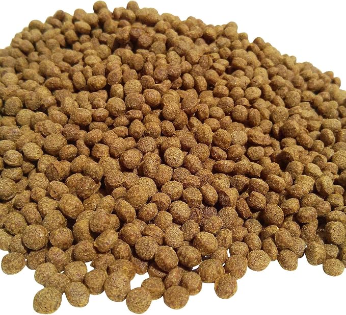3mm - 1/8" Wheat Germ Cooler Weather Koi & Pond Fish 28% Protein Floating Pellets, Easy-to-Digest Formula for Colder Temperatures - 20-lbs