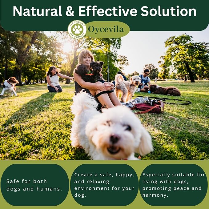 16oz Dog No Pee Spray – Non-Toxic Protection for Carpets, Sofas & Yard Plants - Puppy Potty Training Spray - No Pee Here Formula - Anti Marking Spray for Dogs