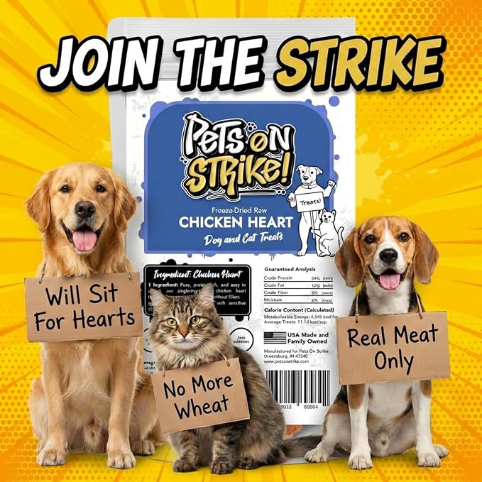 Freeze Dried Chicken Hearts for Dogs & Cats – Single Ingredient Dog Treats – USA Sourced & Made – High Protein, All Natural, Grain Free – Natural Source of Taurine, B Vitamins (3oz)