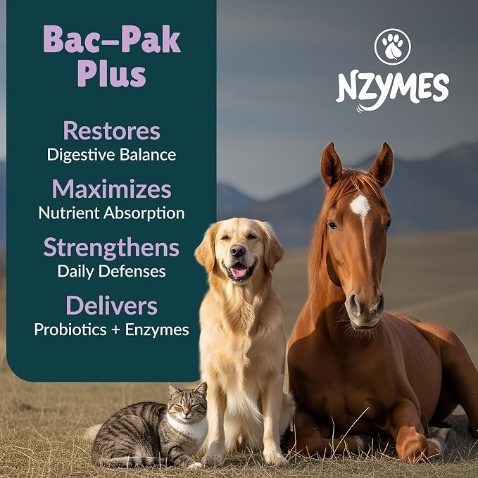 Nzymes® Bac-Pak Plus 400 Grams Digestive Enzymes and Probiotics for Digestion, Loose Stools, Diarrhea, Constipation, Improved Nutrient Uptake - Made in The USA