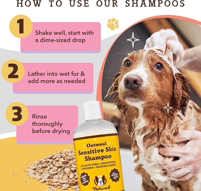 Natural Dog Company Bundle: Allergy & Itchy Defense Chews (90 ct) + Oatmeal Shampoo (12 oz) – Dog Allergy & Itchy DefenseSupport Supplement with Probiotics + Soothing Shampoo for Sensitive Skin