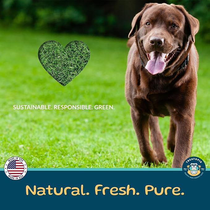 TREATOPIA Beef Lung Nuggies Dog Treats, 1 LB Bag - All-Natural, Sustainable, Healthy, High Protein, Hand-Trimmed, Slow-Roasted, Made in The USA, Nutritious, No Additives, No Fillers