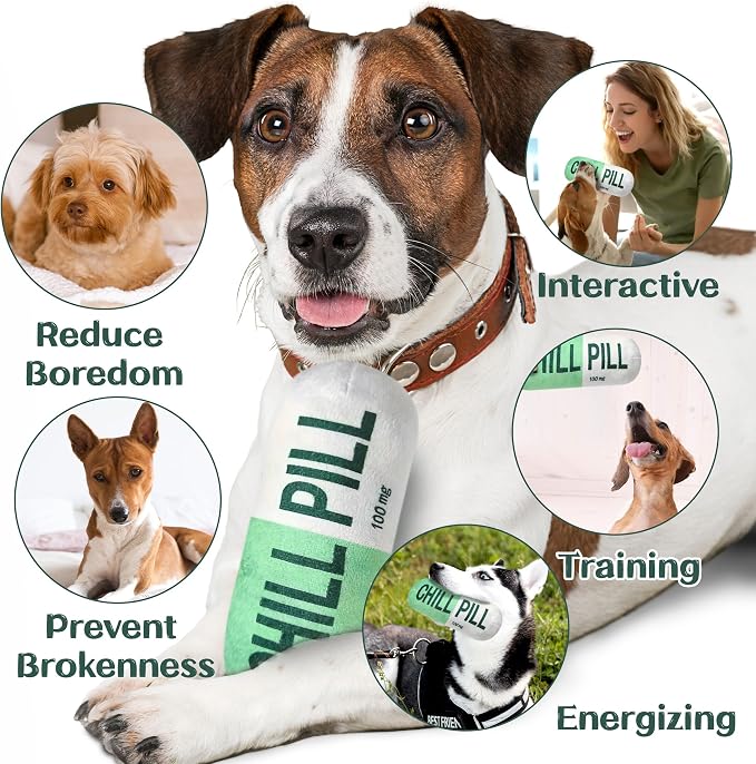 CUweipeng Dog Squeaky Chew Toy - Green Chill Pill Capsule Stuffing Teething Squeak Soft Plush Pet Puppy Toy Supplies Outward Hound Small Medium Large Breed Crinkle Dog Aggressive Chewer Keep Them Busy