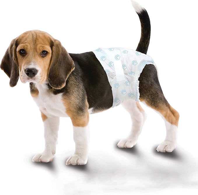 Four Paws Wee-Wee Super Absorbent Disposable Adjustable Dog Potty Training Diapers, Leak-Proof Protection for Dogs, Size Medium, 15" - 18" Waist, 12 Count