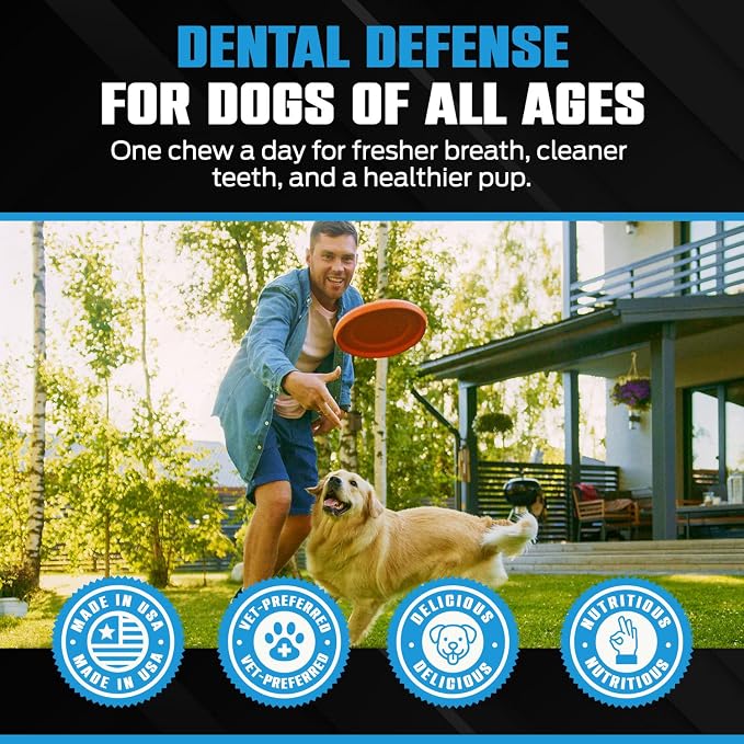 K10 Dental Chews (10 Count) – Low-Calorie Dog Chew with Human-Grade Ingredients – Dog Chews that Support Fresh Breath, Oral Hygiene, Digestion & Vitality – Vet-Preferred Dental Treats for Dogs