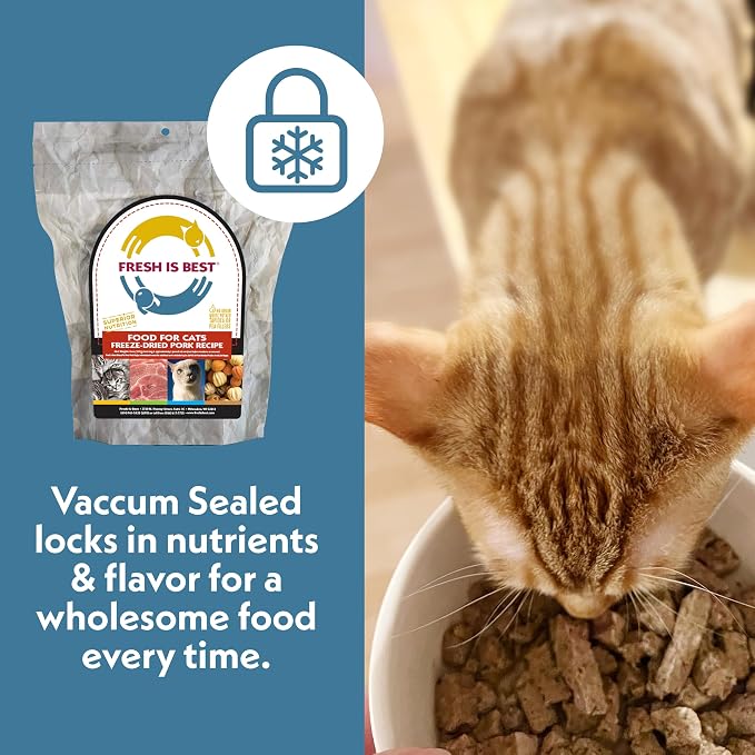 Fresh Is Best Pork Freeze Dried Cat Food – Raw Cat Food for Kittens & Adult Felines – High-Protein Freeze Dried Pork in Resealable Zipper Bag – Made in the USA – 8 oz