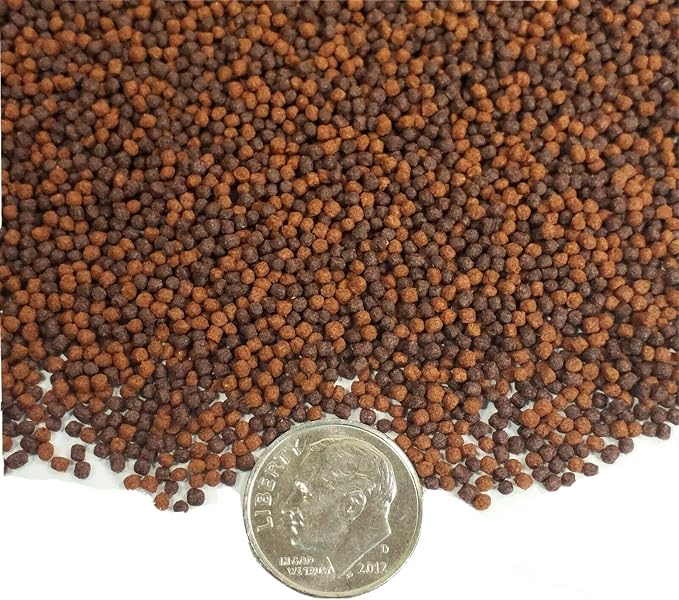 0.5-0.8mm Premium Mix of California Blackworm & Intense Red Coloring Floating Pellets All Cichlids, Tropical Fish and All Koi & Pond Fish - 1/4-lb