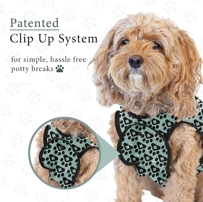 BellyGuard Dog Surgery Recovery Suit, Post-Op Dog Recovery Suit for Female Spay & Male Neuter, Comfy Onesie for Pets, Surgical Body Cover for Canine Healing Support
