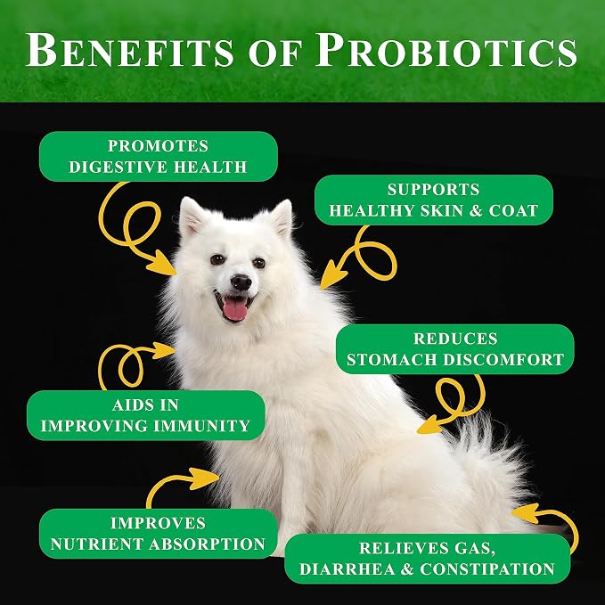 Probiotic Soft Chews for Dogs – 270 Count (3 x 90ct) – Digestive & Immune Support with 9 Probiotics, 8 Enzymes, 2 Prebiotics & 5 Vital Nutrients – Chicken Flavor