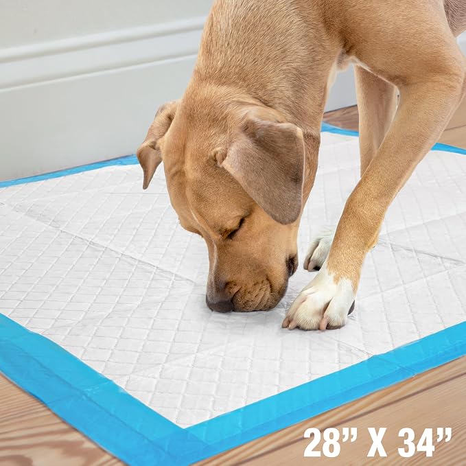 Four Paws Wee-Wee Superior Performance Unscented Extra-Large Pee Pads for Dogs & Puppies, Quilted Leak-Proof Dog Housebreaking Potty Training Floor Protection, 28" x 34", 14 Count