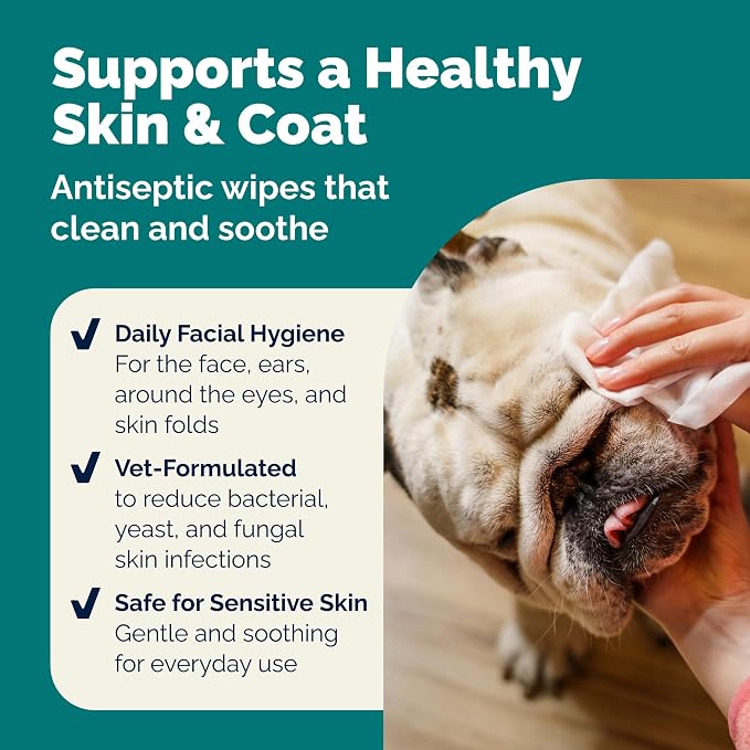 Vetnique Dermabliss Dog Wipes, Fragrance-Free Face Wrinkle & Skin Fold Care | Medicated Chlorhexidine & Ketoconazole Dog Grooming, Face & Paw Wipes for Bulldog Wrinkles & Folds; Gentle Daily, Cat-Safe