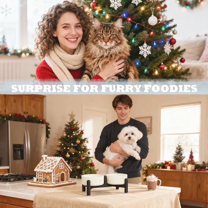 Elevated Ceramic Dog Bowl Set - Cute Double Dishes with Stainless Steel Stand – Raised Feeding Bowls for Cats and Small Dogs - Food & Water Set - 5" / 1.4 Cups (140 g / 260 ml) - Blue