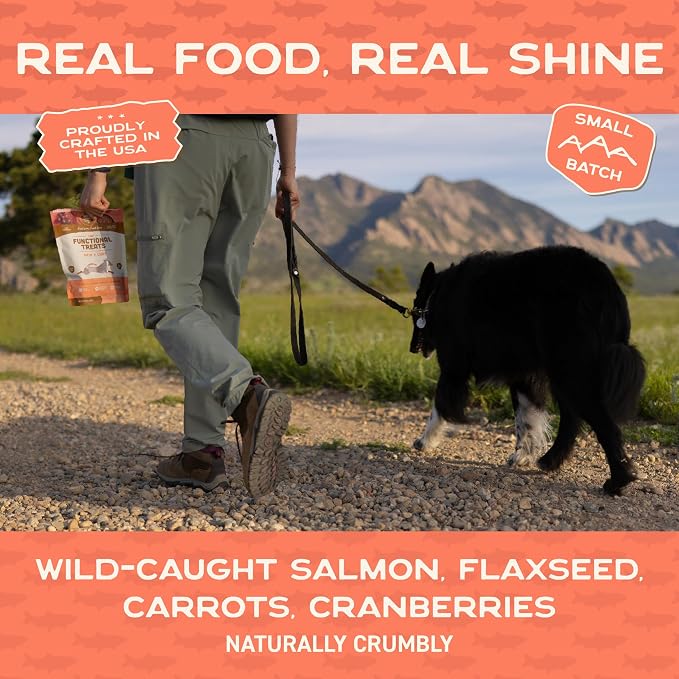 Smart Cookie All Natural Dog Treats - Healthy Skin & Coat Salmon Dog Treats - Ideal for Sensitive Stomachs or Itchy, Allergic, Dry Skin - Dehydrated, Crunchy, Human-Grade, Made in USA - 8oz, Pack of 1