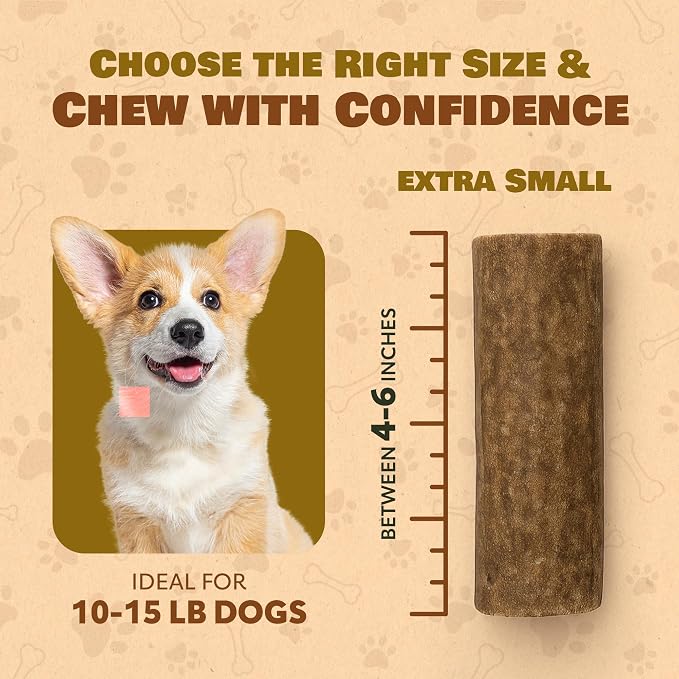 Extra Small 4 Pack (Splits) All Natural Premium Grade A. Elk Antler Chew. Naturally Shed, Hand-Picked, and Made in The USA. NO Odor, NO Mess. GUARENTEED SATISIFACTION. for Dogs 10-20 lbs
