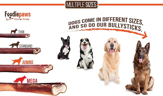 FOODIEPAWS 12 Inch Bully Sticks for Dogs, 10 Pack Bulk | All Natural, Grass-Fed Beef | High Protein, Rawhide-Free & Fully Digestible| Long Lasting Dental Treats for Large Dogs & Aggressive Chewers
