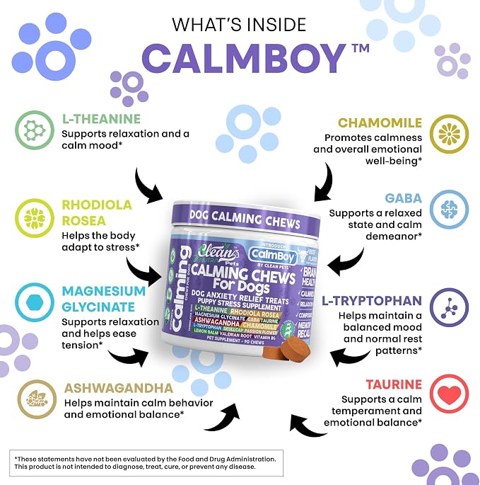 Clean Nutra Calming Chews for Dogs, Dog Anxiety Relief Supplement, L Theanine Ashwagandha Rhodiola GABA Magnesium Valerian Natural Ingredients, 90 Chews, Beef Flavor