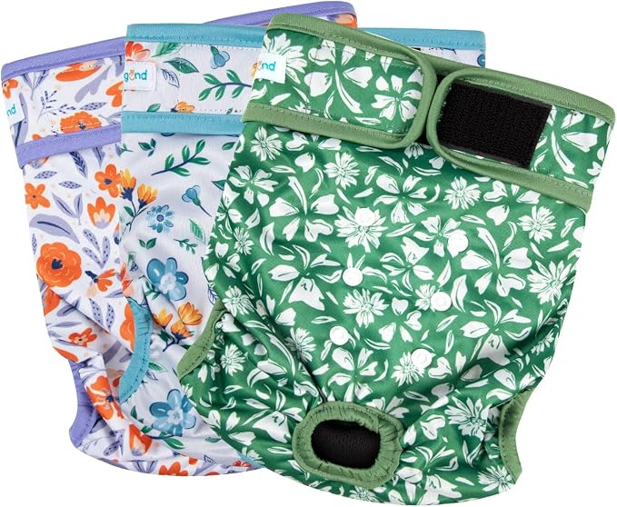 Paw Legend Washable Reusable Female Dog Period Diapers for Heat Doggie Puppy Diapers for Female Dogs (3 Pack, X-Large)