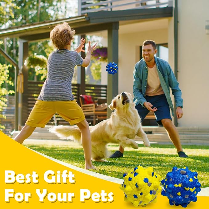 4PCS Indestructible Tennis Balls for Dogs, Dog Balls for Aggressive Chewers, Durable Bouncy Toy Balls, Interactive Toys Fetch Game, Lightweight Floating Medium