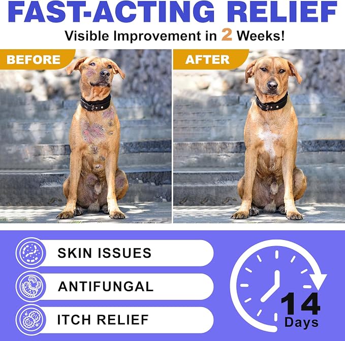 Medicated Dog Shampoo with 2% Miconazole & 2% Chlorhexidine – Relief for Itchy, Odor & Redness – Gentle Vet-Grade Formula for Healthy Skin & Coat - 17 oz