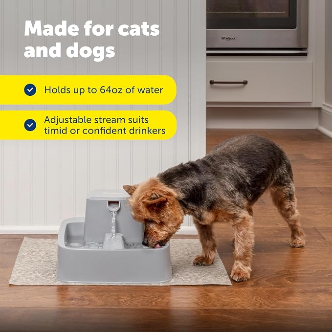 PetSafe Oasys 1/2 Gallon Pet Fountain for Cats and Small Dogs 1/2 Gallon Water Capacity Adjustable Flow Control Fresh, Filtered Water Easy to Clean - Extra Carbon and Foam Filters Included