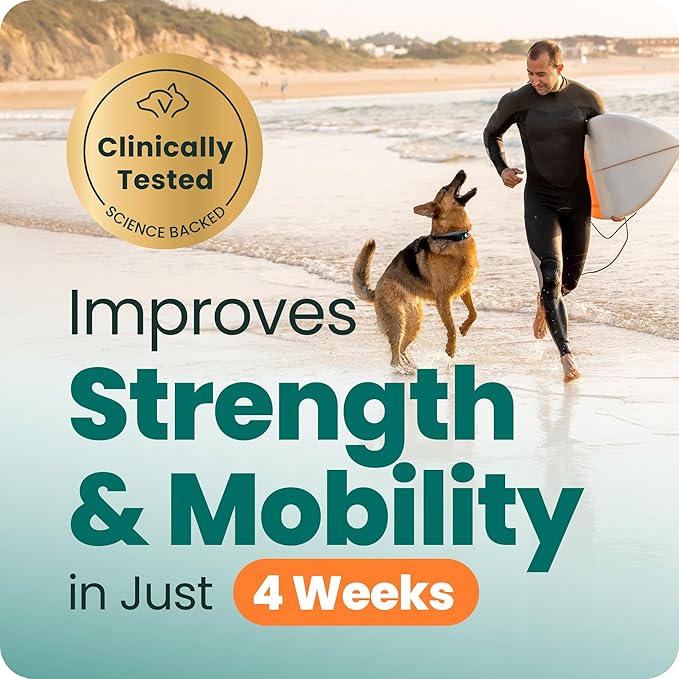 VetriScience Extra Strength Healthy Hip & Joint Chewable Tablets, GlycoFlex Glucosamine and Green-Lipped Mussel Joint Support Supplement for Dogs, Soothe Joint Discomfort, Chicken, 120 Count