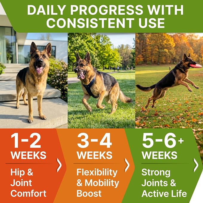 Senior Advanced Glucosamine Chondroitin Joint Supplement for Dogs - Hip & Joint Pain Relief Pills - Large & Small Breed - Hip Joint Chews Canine Joint Health - Dogs&Horses - Bacon Flavor-120Ct