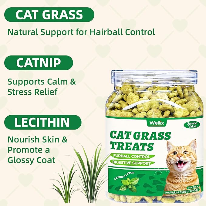 Wellix Cat Grass Treats with Catnip & Salmon - Healthy Cat Treats for Indoor Cats - Hairball Control & Digestive Support - Kittens Training Snacks for Teeth Cleaning 13.05oz