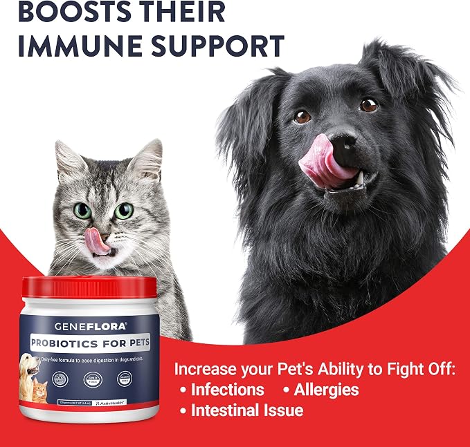 Geneflora Digestive Enzymes Prebiotics & Pet Probiotics for Dogs Powder, Cat, Rabbit, & Dog Probiotics for Digestive Support, 125 Grams, 2 Pack
