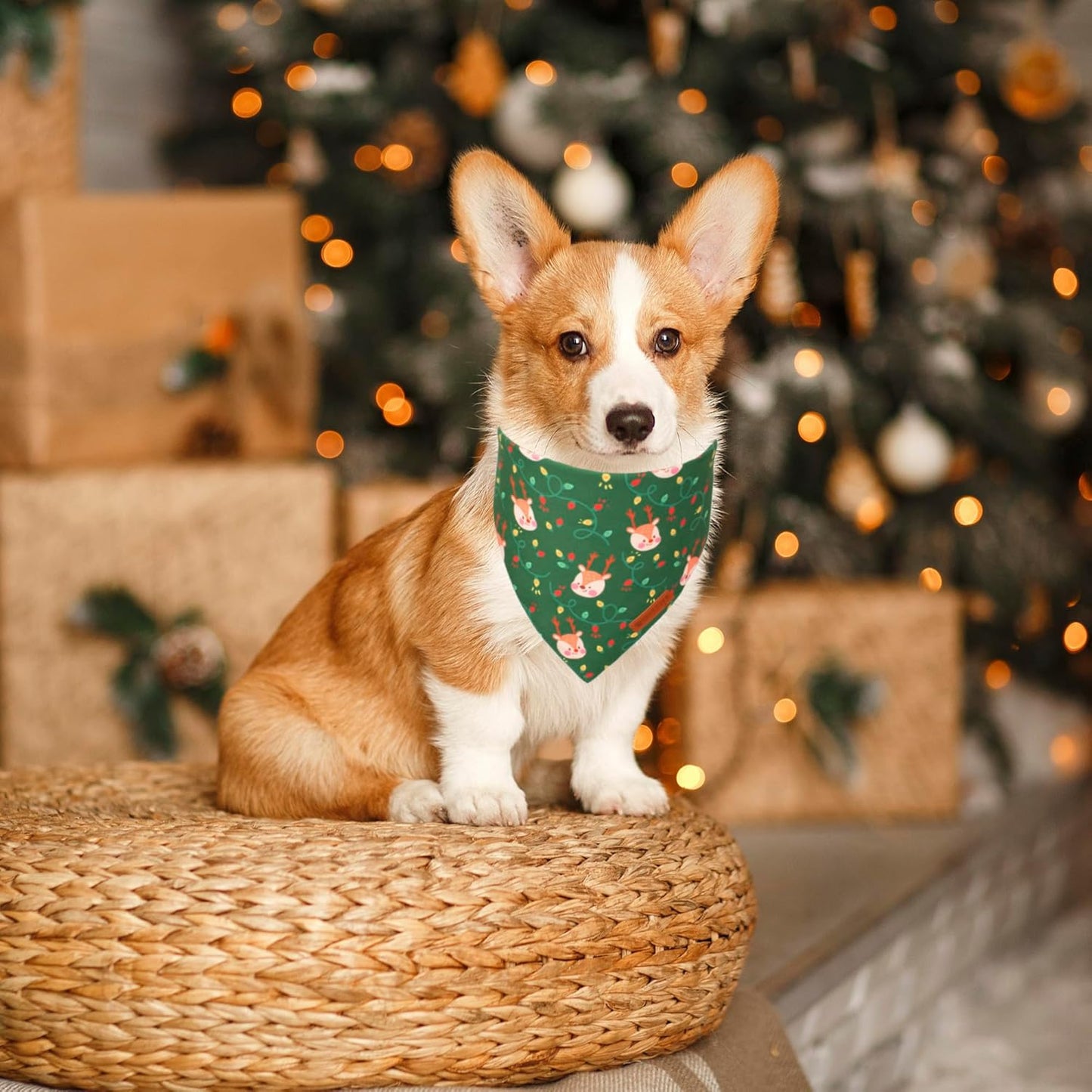 ADOGGYGO Christmas Dog Bandanas 2 Pack, Santa Deer Pattern Pet Xmas Scarf Bib, Premium Durable Fabric, Pet Christmas Bandanas for Medium Large Dogs (Large)