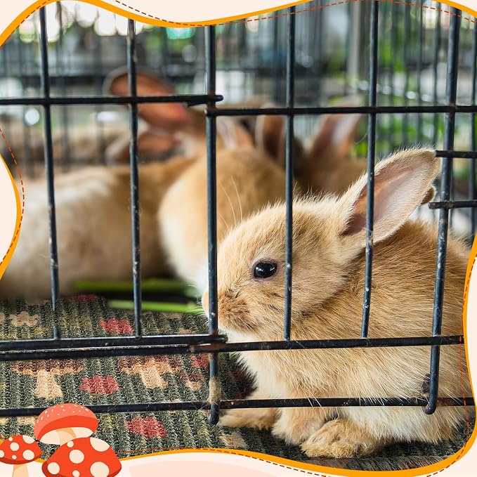Drydiet 16 x 12 Inch 2 Pcs Rabbit Scratch Mat Natural Bunny Scratching Pad Claws and Teeth Care Rabbit Mats for Cages Chew Toys Bunny Pet Cage Bedding for Biting Sleeping Nesting
