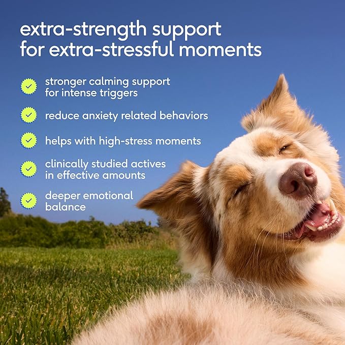 Native Pet Advanced Calming Chews for Dogs - Anxiety Relief, Stress, Separation, Travel & Sleep Support with Melatonin for Dogs, Hydrolyzed Casein, Valerian Root & L-Tryptophan -120 Chews