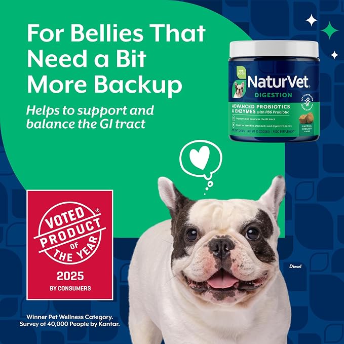 NaturVet Advanced Probiotics & Enzymes, PB6 Dog Soft Chews to Help Sensitive Stomachs and Digestive Issues, Hickory Smoked Bacon Flavored Pet Supplement for Dogs Over 6 Weeks, 120 Count Jar