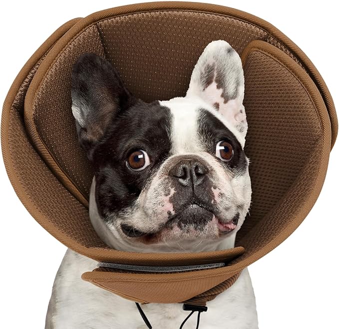Queenmore Soft Dog Cone Collar,Comfortable Cones for Small Dogs/Cat to Stop Licking After Surgery, Comfy Elizabethan Collars, Neuter Recovery Ecollars of Shame Alternatives,Coffee,M
