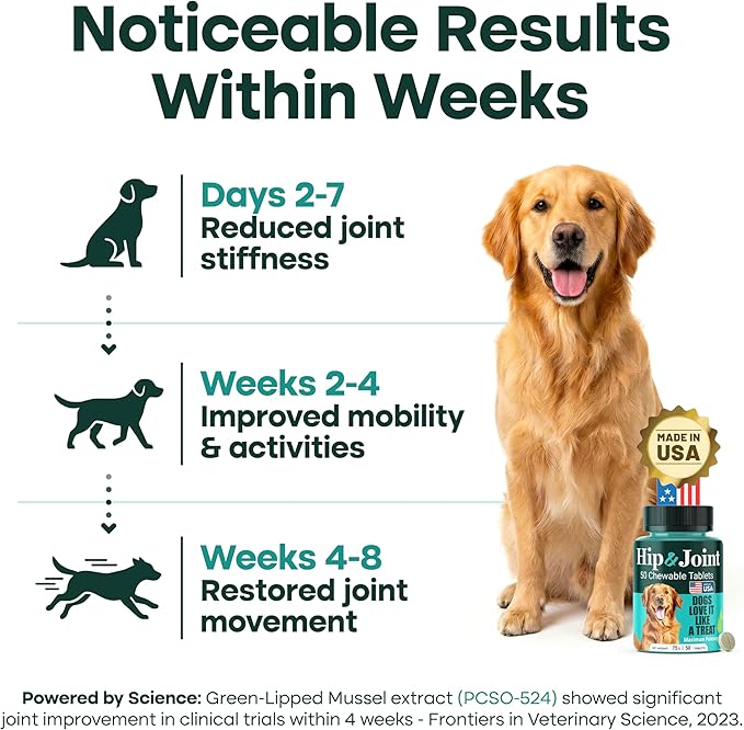 Hip & Joint Supplement for Dogs, 300mg Green-Lipped Mussel for Dog Arthritis Pain Relief, Glucosamine, MSM & Chondroitin, Zero Sugar, Large Medium Small Breeds, 100 Chewable Tablets